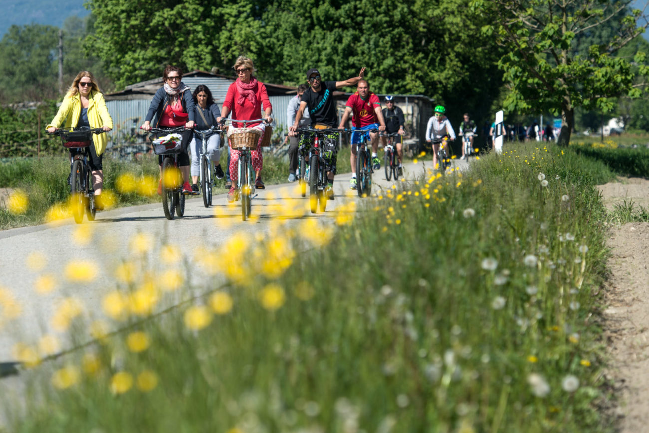 Magadino: manifestazione mobilità lenta Slow Up Ticino 2017. Nella foto partecipanti sul percorso sul Piano di Magadino. © Ti-Press / Francesca Agosta
