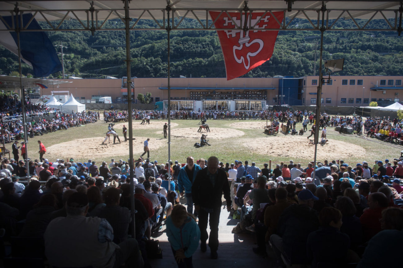 Cadenazzo: 1a festa cantonale ticinese di lotta svizzera. Nella foto un momento durante le competizioni di lotta svizzera, a Cadenazzo per la 1a festa cantonale ticinese di lotta svizzera.
© Ti-Press / Alessandro Crinari